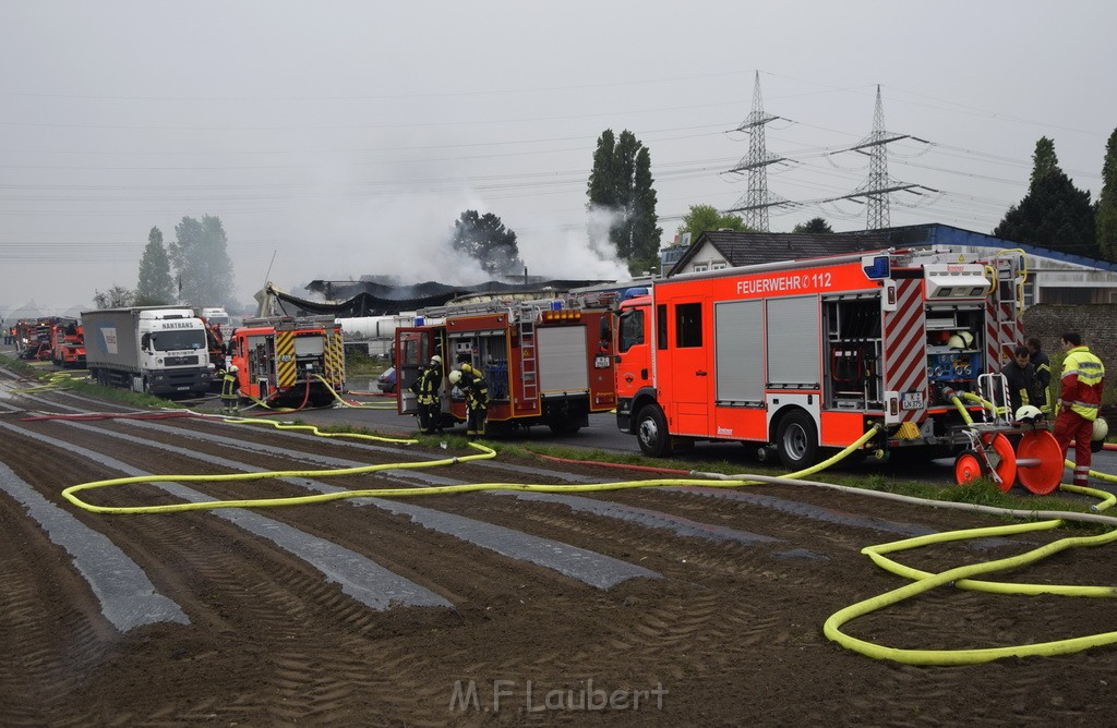 Feuer 3 Rheinkassel Feldkasseler Weg P1590.JPG - Miklos Laubert